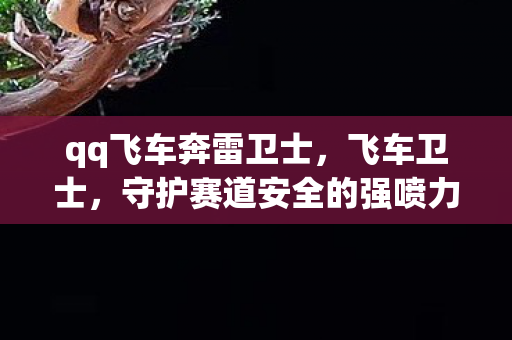 qq飞车奔雷卫士,飞车卫士,守护赛道安全的强喷力量 qq飞车奔雷卫士,飞车卫士,守护赛道安全的强喷力量