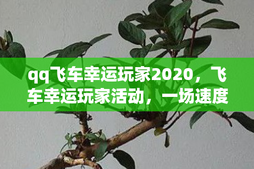 qq飞车幸运玩家2020,飞车幸运玩家活动,一场速度与激情的狂欢盛宴 qq飞车幸运玩家2020,飞车幸运玩家活动,一场速度与激情的狂欢盛宴