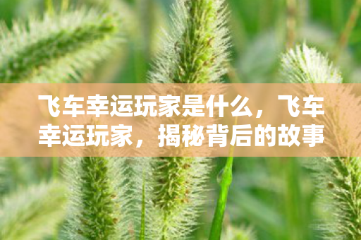 飞车幸运玩家是什么，飞车幸运玩家，揭秘背后的故事与奋斗历程