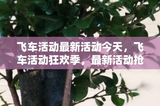 飞车活动最新活动今天，飞车活动狂欢季，最新活动抢鲜看！