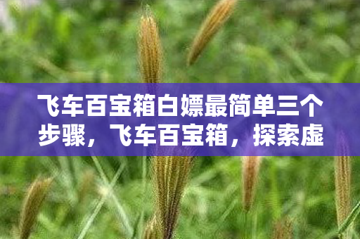 飞车百宝箱白嫖最简单三个步骤，飞车百宝箱，探索虚拟世界的无尽宝藏