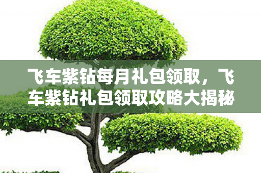 飞车紫钻每月礼包领取,飞车紫钻礼包领取攻略大揭秘 飞车紫钻每月礼包领取,飞车紫钻礼包领取攻略大揭秘