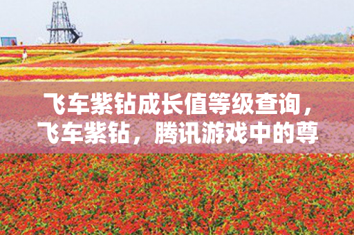 飞车紫钻成长值等级查询,飞车紫钻,腾讯游戏中的尊贵身份象征 飞车紫钻成长值等级查询,飞车紫钻,腾讯游戏中的尊贵身份象征