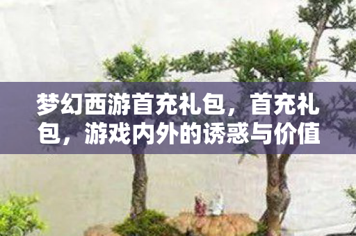 梦幻西游首充礼包,首充礼包,游戏内外的诱惑与价值解析 梦幻西游首充礼包,首充礼包,游戏内外的诱惑与价值解析