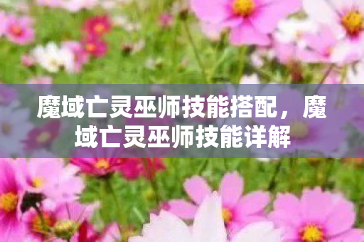 魔域亡灵巫师技能搭配,魔域亡灵巫师技能详解 魔域亡灵巫师技能搭配,魔域亡灵巫师技能详解