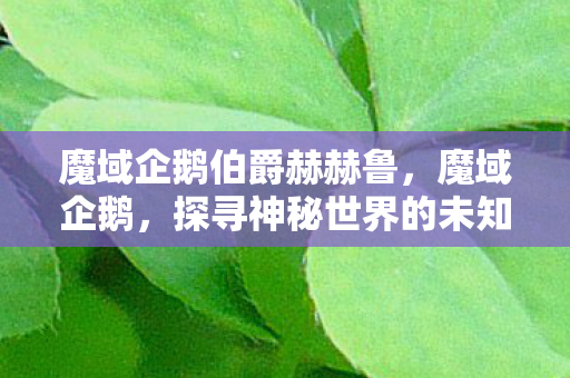 魔域企鹅伯爵赫赫鲁,魔域企鹅,探寻神秘世界的未知奇迹 魔域企鹅伯爵赫赫鲁,魔域企鹅,探寻神秘世界的未知奇迹
