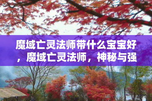 魔域亡灵法师带什么宝宝好,魔域亡灵法师,神秘与强大的结合体 魔域亡灵法师带什么宝宝好,魔域亡灵法师,神秘与强大的结合体