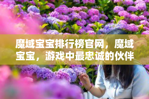 魔域宝宝排行榜官网,魔域宝宝,游戏中最忠诚的伙伴 魔域宝宝排行榜官网,魔域宝宝,游戏中最忠诚的伙伴