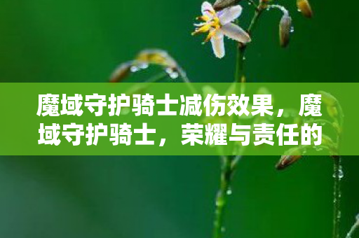 魔域守护骑士减伤效果,魔域守护骑士,荣耀与责任的象征 魔域守护骑士减伤效果,魔域守护骑士,荣耀与责任的象征