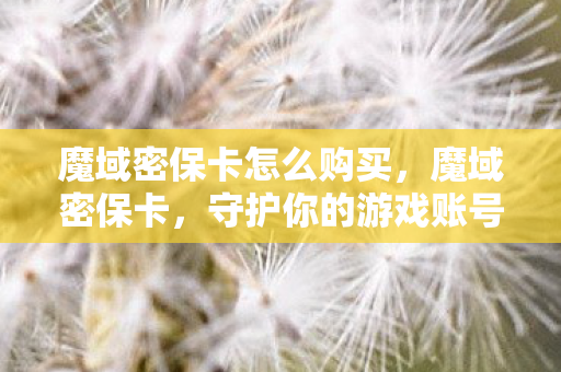 魔域密保卡怎么购买,魔域密保卡,守护你的游戏账号安全 魔域密保卡怎么购买,魔域密保卡,守护你的游戏账号安全