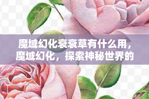 魔域幻化衰衰草有什么用,魔域幻化,探索神秘世界的无尽魅力 魔域幻化衰衰草有什么用,魔域幻化,探索神秘世界的无尽魅力