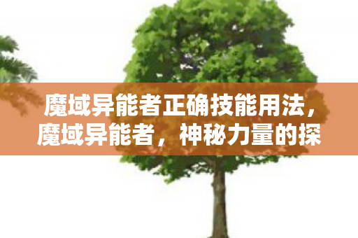 魔域异能者正确技能用法,魔域异能者,神秘力量的探索与解析 魔域异能者正确技能用法,魔域异能者,神秘力量的探索与解析