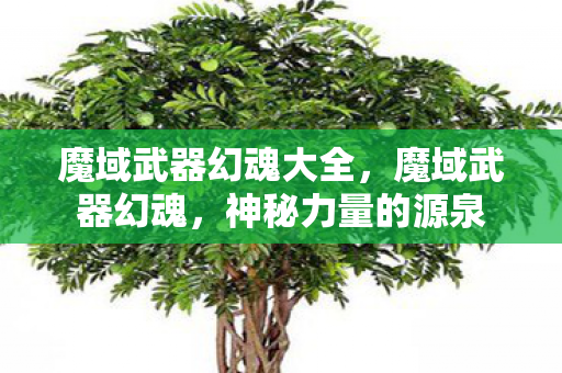 魔域武器幻魂大全,魔域武器幻魂,神秘力量的源泉 魔域武器幻魂大全,魔域武器幻魂,神秘力量的源泉