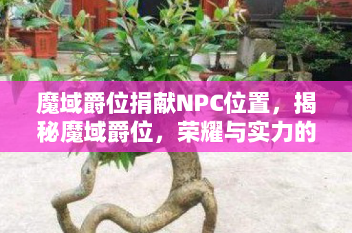 魔域爵位捐献NPC位置，揭秘魔域爵位，荣耀与实力的象征