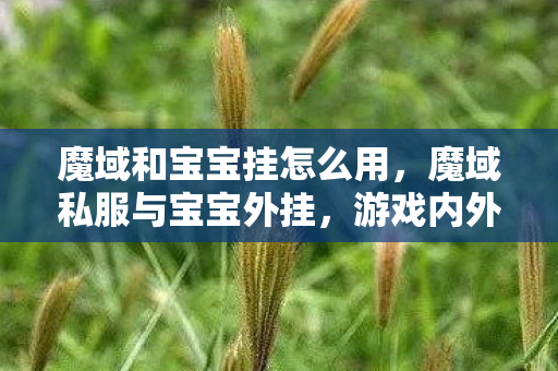 魔域和宝宝挂怎么用,魔域私服与宝宝外挂,游戏内外的纷争与挑战 魔域和宝宝挂怎么用,魔域私服与宝宝外挂,游戏内外的纷争与挑战