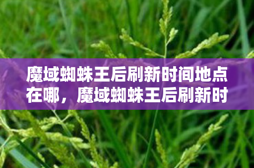 魔域蜘蛛王后刷新时间地点在哪,魔域蜘蛛王后刷新时间与地点详解 魔域蜘蛛王后刷新时间地点在哪,魔域蜘蛛王后刷新时间与地点详解