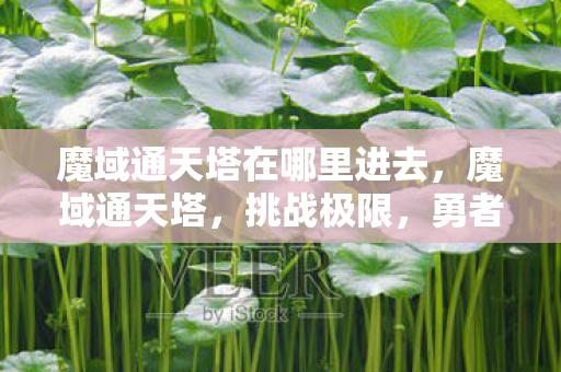魔域通天塔在哪里进去,魔域通天塔,挑战极限,勇者的荣耀 魔域通天塔在哪里进去,魔域通天塔,挑战极限,勇者的荣耀