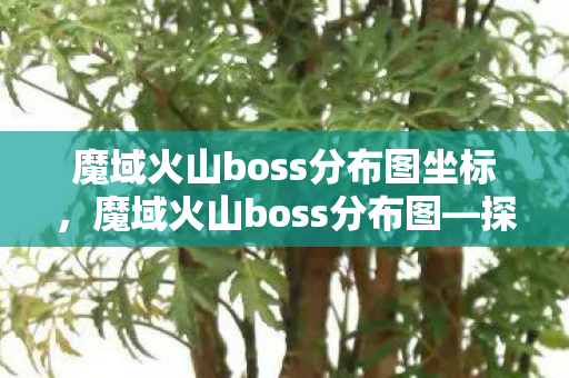 魔域火山boss分布图坐标，魔域火山boss分布图—探索神秘领域的指南