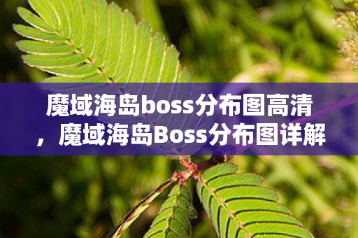 魔域海岛boss分布图高清，魔域海岛Boss分布图详解