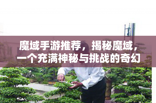 魔域手游推荐,揭秘魔域,一个充满神秘与挑战的奇幻世界 魔域手游推荐,揭秘魔域,一个充满神秘与挑战的奇幻世界
