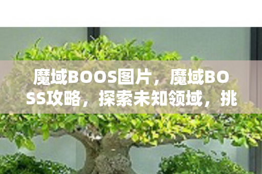 魔域BOOS图片,魔域BOSS攻略,探索未知领域,挑战强大BOSS 魔域BOOS图片,魔域BOSS攻略,探索未知领域,挑战强大BOSS