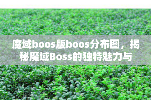 魔域boos版boos分布图，揭秘魔域Boss的独特魅力与挑战