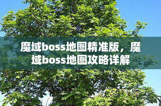 魔域boss地图精准版,魔域boss地图攻略详解 魔域boss地图精准版,魔域boss地图攻略详解