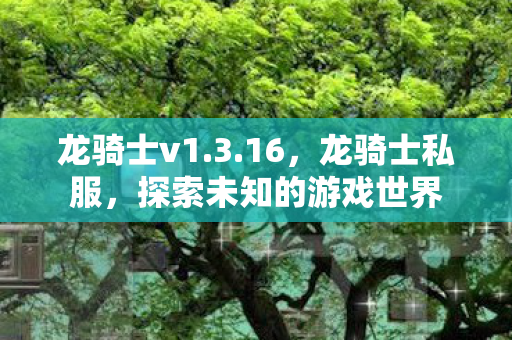 龙骑士v1.3.16,龙骑士私服,探索未知的游戏世界 龙骑士v1.3.16,龙骑士私服,探索未知的游戏世界