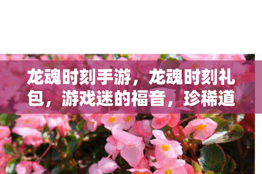 龙魂时刻手游,龙魂时刻礼包,游戏迷的福音,珍稀道具大放送 龙魂时刻手游,龙魂时刻礼包,游戏迷的福音,珍稀道具大放送