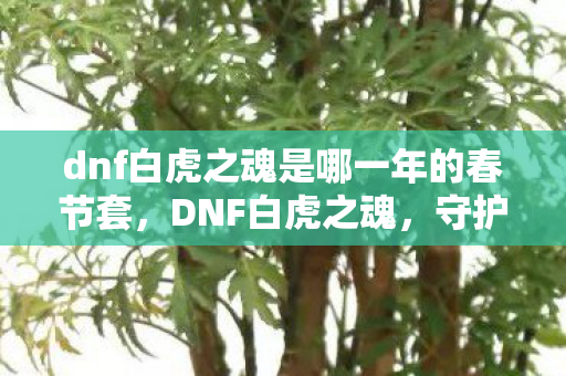 dnf白虎之魂是哪一年的春节套,DNF白虎之魂,守护与荣耀的传奇 dnf白虎之魂是哪一年的春节套,DNF白虎之魂,守护与荣耀的传奇
