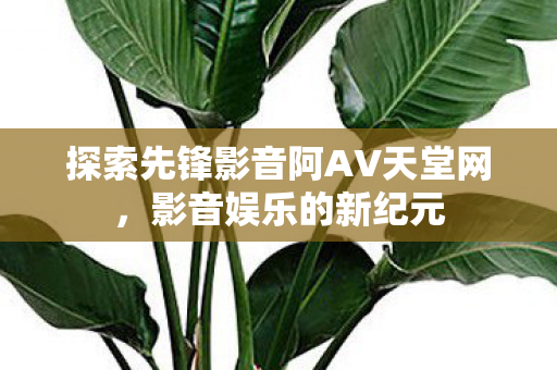 探索先锋影音阿AV天堂网,影音娱乐的新纪元 探索先锋影音阿AV天堂网,影音娱乐的新纪元