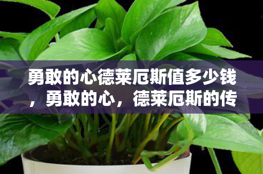 勇敢的心德莱厄斯值多少钱,勇敢的心,德莱厄斯的传奇人生 勇敢的心德莱厄斯值多少钱,勇敢的心,德莱厄斯的传奇人生