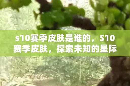 s10赛季皮肤是谁的，S10赛季皮肤，探索未知的星际之旅