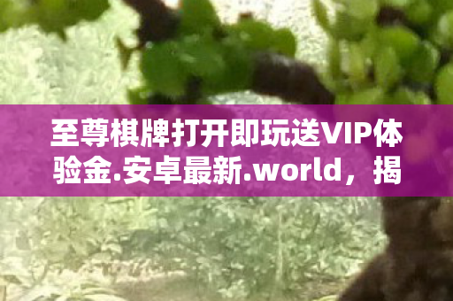 至尊棋牌打开即玩送VIP体验金.安卓最新.world,揭秘至尊棋牌,一场虚拟世界的博弈盛宴 至尊棋牌打开即玩送VIP体验金.安卓最新.world,揭秘至尊棋牌,一场虚拟世界的博弈盛宴