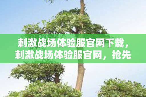 刺激战场体验服官网下载,刺激战场体验服官网,抢先体验未来战场 刺激战场体验服官网下载,刺激战场体验服官网,抢先体验未来战场