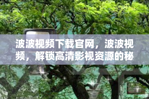 波波视频下载官网,波波视频,解锁高清影视资源的秘密 波波视频下载官网,波波视频,解锁高清影视资源的秘密
