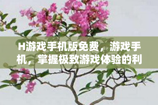H游戏手机版免费，游戏手机，掌握极致游戏体验的利器