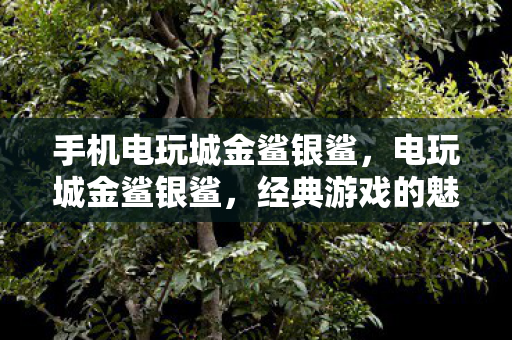 手机电玩城金鲨银鲨,电玩城金鲨银鲨,经典游戏的魅力与回忆 手机电玩城金鲨银鲨,电玩城金鲨银鲨,经典游戏的魅力与回忆