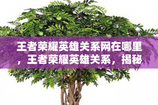 王者荣耀英雄关系网在哪里,王者荣耀英雄关系,揭秘峡谷中的爱恨情仇 王者荣耀英雄关系网在哪里,王者荣耀英雄关系,揭秘峡谷中的爱恨情仇
