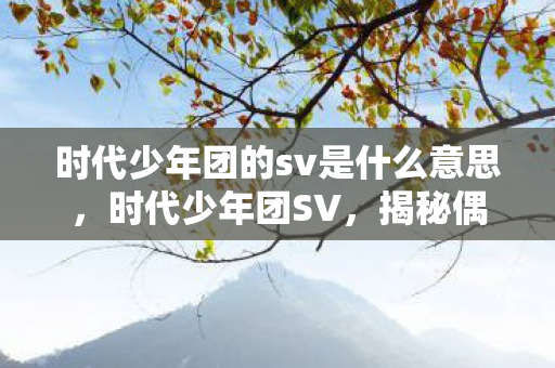 时代少年团的sv是什么意思,时代少年团SV,揭秘偶像团体的全新互动形式 时代少年团的sv是什么意思,时代少年团SV,揭秘偶像团体的全新互动形式