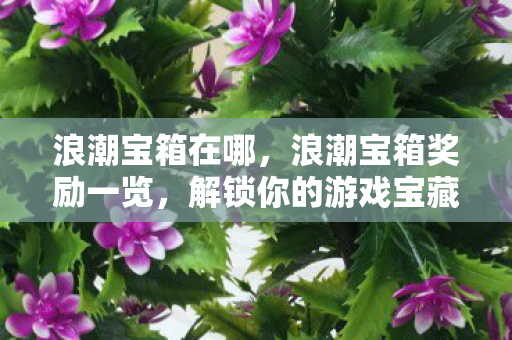 浪潮宝箱在哪，浪潮宝箱奖励一览，解锁你的游戏宝藏