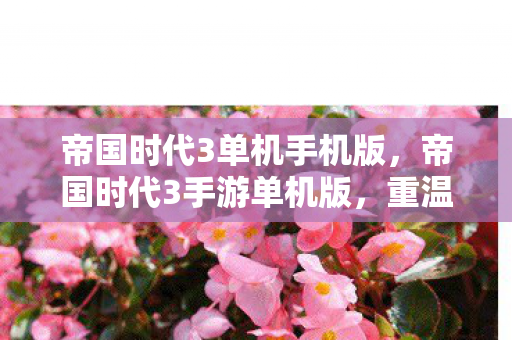 帝国时代3单机手机版,帝国时代3手游单机版,重温经典,再燃战火 帝国时代3单机手机版,帝国时代3手游单机版,重温经典,再燃战火