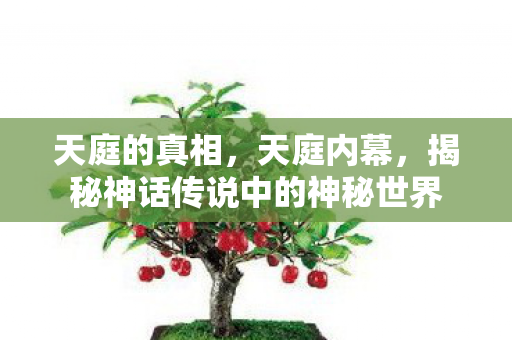天庭的真相，天庭内幕，揭秘神话传说中的神秘世界
