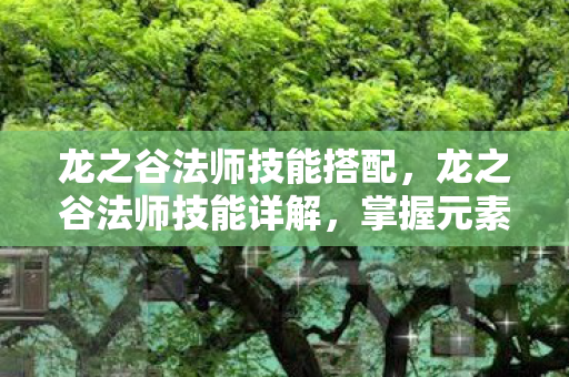 龙之谷法师技能搭配,龙之谷法师技能详解,掌握元素之力,主宰战场 龙之谷法师技能搭配,龙之谷法师技能详解,掌握元素之力,主宰战场
