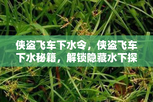 侠盗飞车下水令，侠盗飞车下水秘籍，解锁隐藏水下探索技巧
