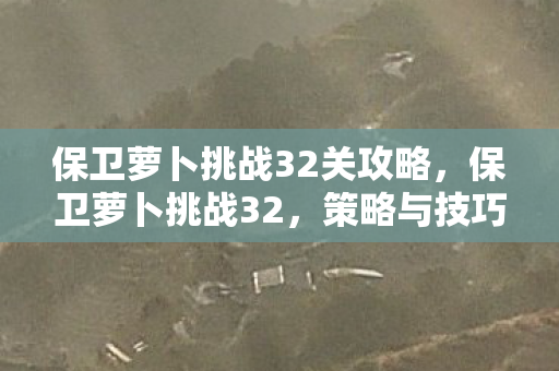 保卫萝卜挑战32关攻略,保卫萝卜挑战32,策略与技巧的终极对决 保卫萝卜挑战32关攻略,保卫萝卜挑战32,策略与技巧的终极对决