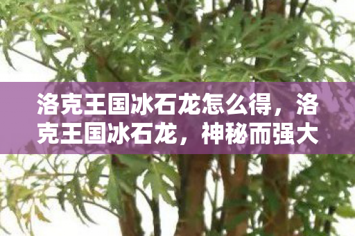 洛克王国冰石龙怎么得,洛克王国冰石龙,神秘而强大的存在 洛克王国冰石龙怎么得,洛克王国冰石龙,神秘而强大的存在