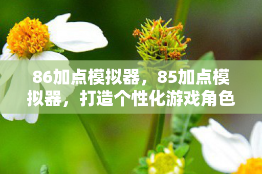 86加点模拟器,85加点模拟器,打造个性化游戏角色的秘密武器 86加点模拟器,85加点模拟器,打造个性化游戏角色的秘密武器