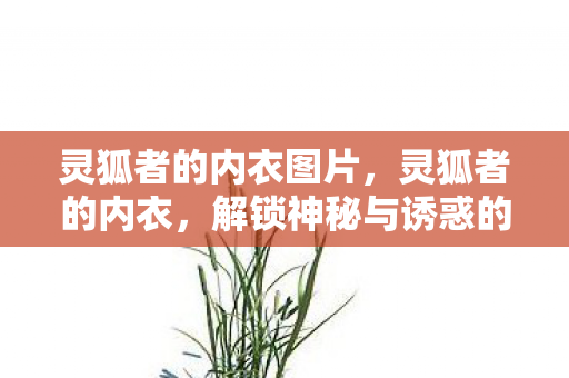 灵狐者的内衣图片,灵狐者的内衣,解锁神秘与诱惑的钥匙 灵狐者的内衣图片,灵狐者的内衣,解锁神秘与诱惑的钥匙