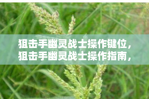 狙击手幽灵战士操作键位,狙击手幽灵战士操作指南,成为战场上的幽灵 狙击手幽灵战士操作键位,狙击手幽灵战士操作指南,成为战场上的幽灵